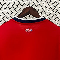 24/25 Lille-style Away Jersey (S-XXL)